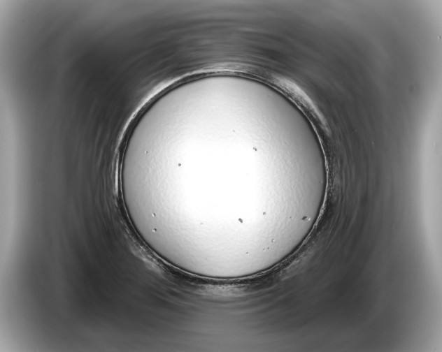 X0000085081276200703191315