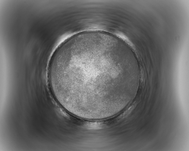 X0000085081278200703191315