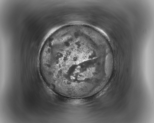 X0000085081279200703191315