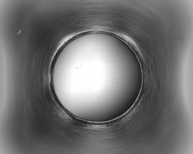 X0000085081280200703191315