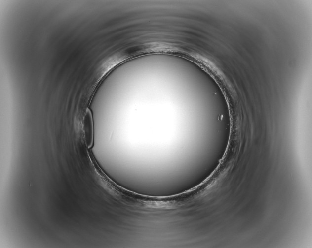 X0000085081281200703191315