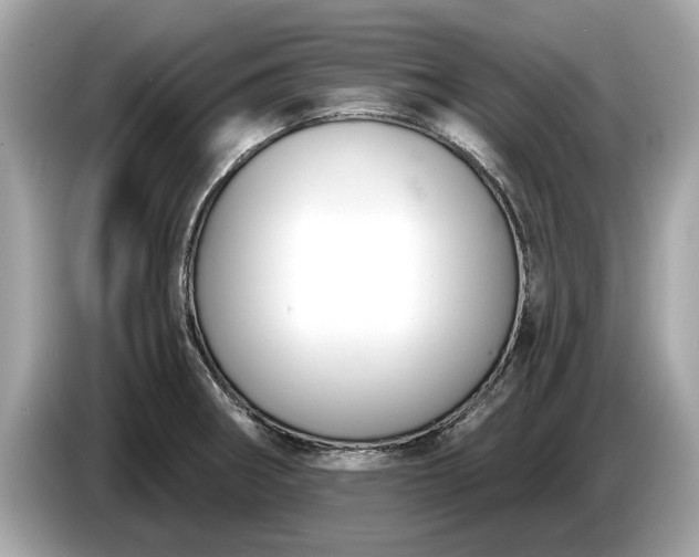 X0000085081282200703191315