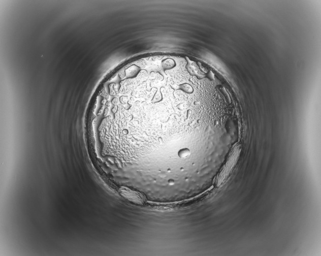 X0000085081283200703191315