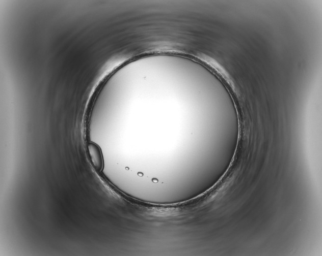 X0000085081285200703191315