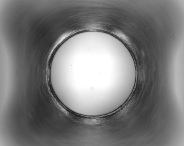 X0000085081286200703191315