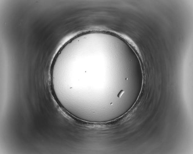 X0000085081287200703191315