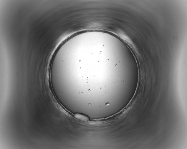 X0000085081288200703191315