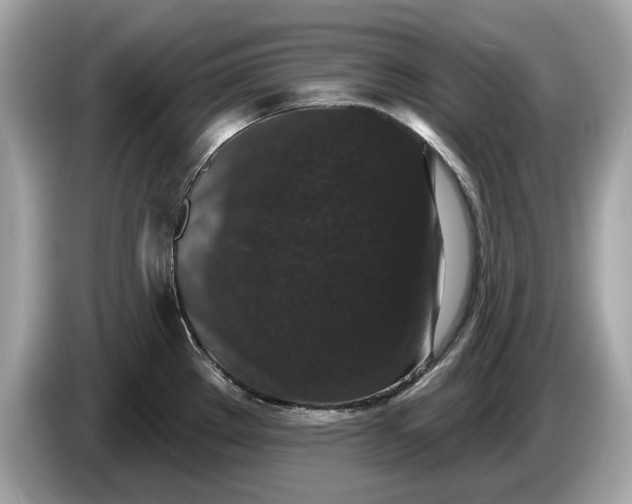 X0000085081289200703191315