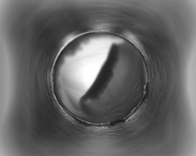 X0000085081291200703191315