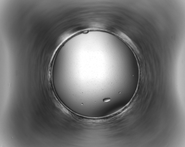 X0000085081292200703191315