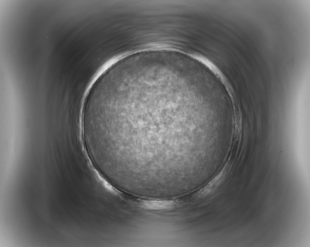 X0000085081294200703191315