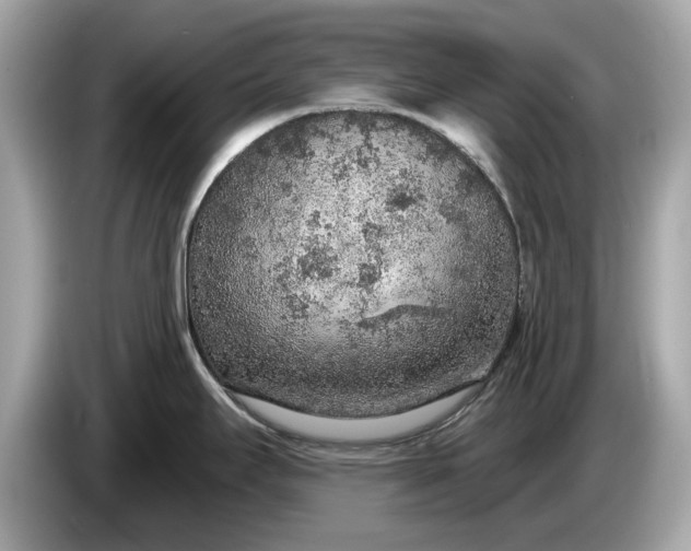 X0000085081295200703191315