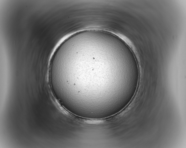 X0000085081296200703191315