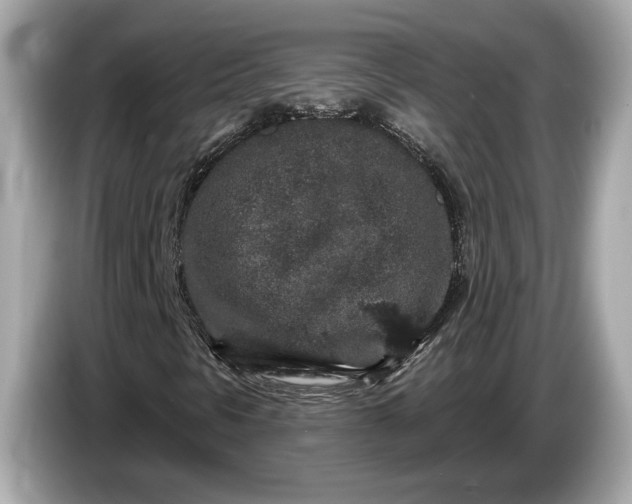 X0000085081297200703191314