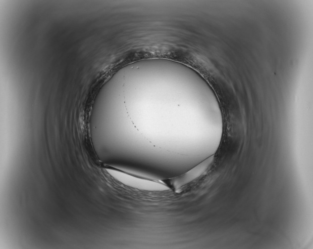 X0000085081298200703191314