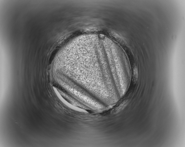 X0000085081300200703191314