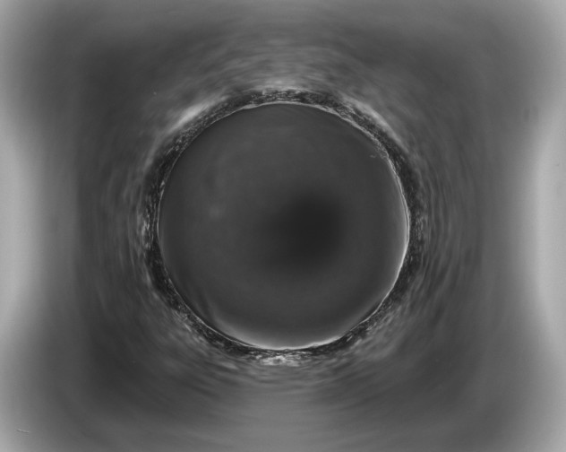 X0000085081303200703191315