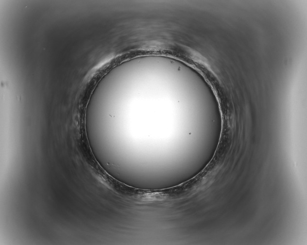 X0000085081304200703191315