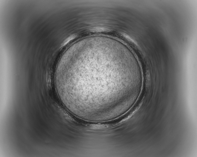 X0000085081305200703191315