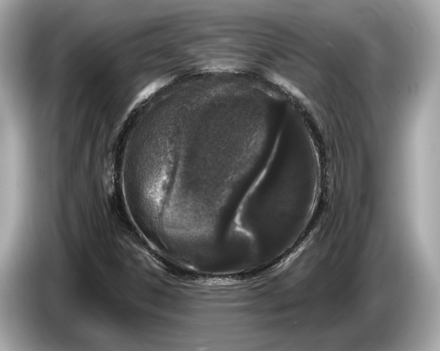 X0000085081306200703191315