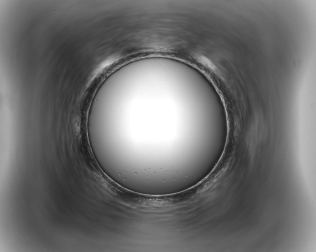 X0000085081307200703191315