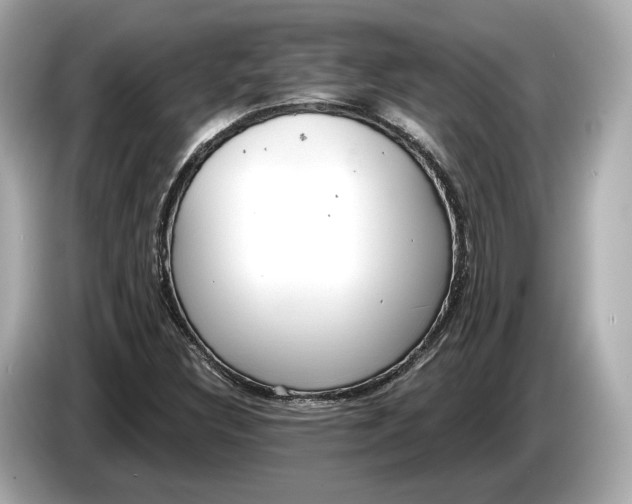 X0000085081308200703191315