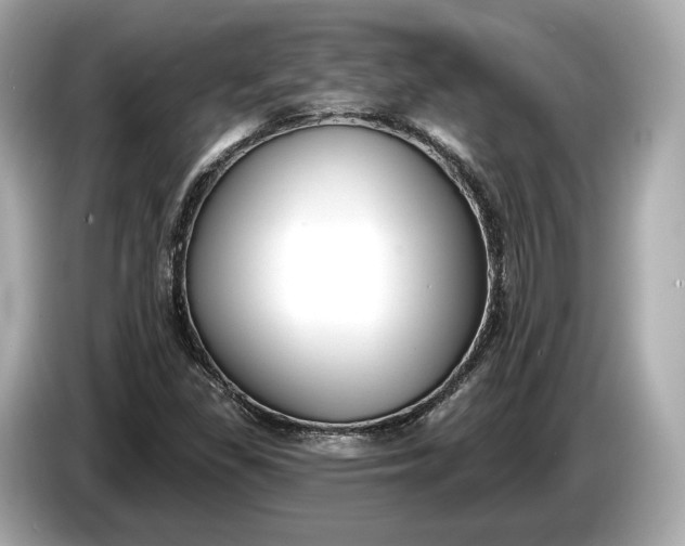 X0000085081309200703191315