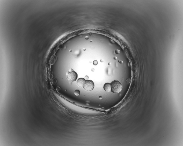 X0000085081310200703191315