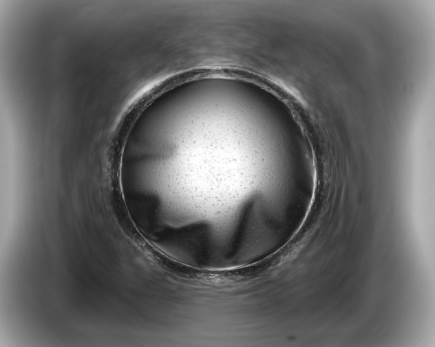 X0000085081311200703191315