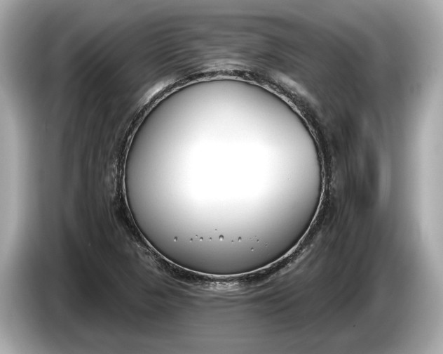 X0000085081313200703191315