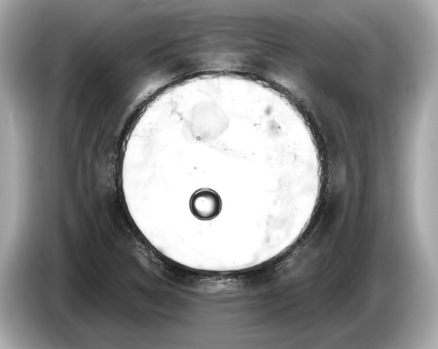 X0000085081314200703191315