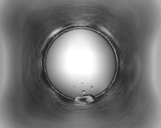 X0000085081315200703191315