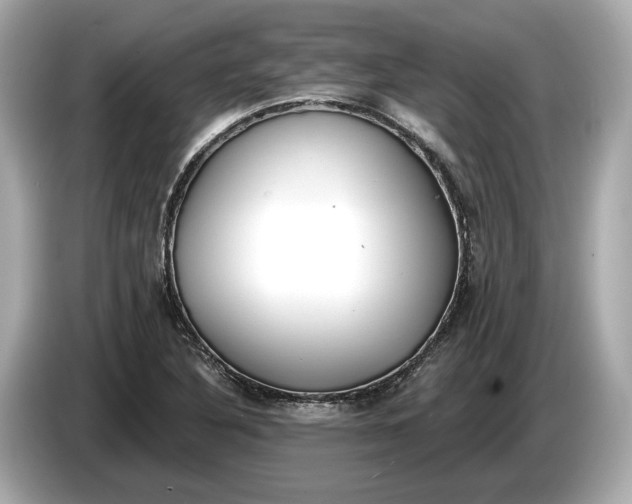 X0000085081316200703191315