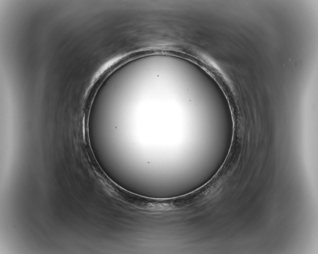 X0000085081320200703191315