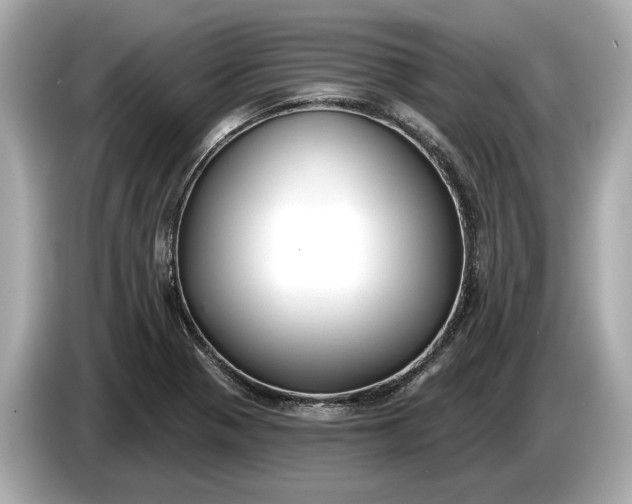 X0000085081321200703191315