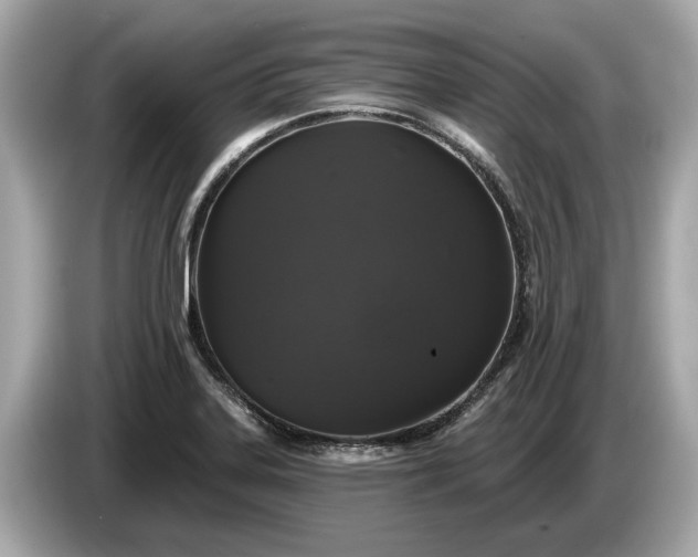 X0000085081323200703191315