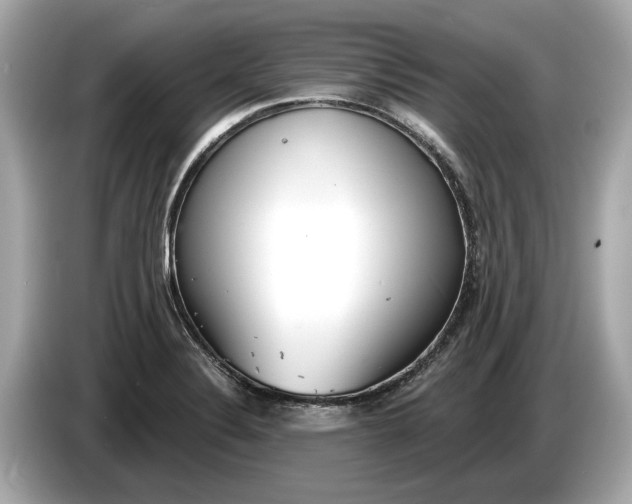 X0000085081324200703191315