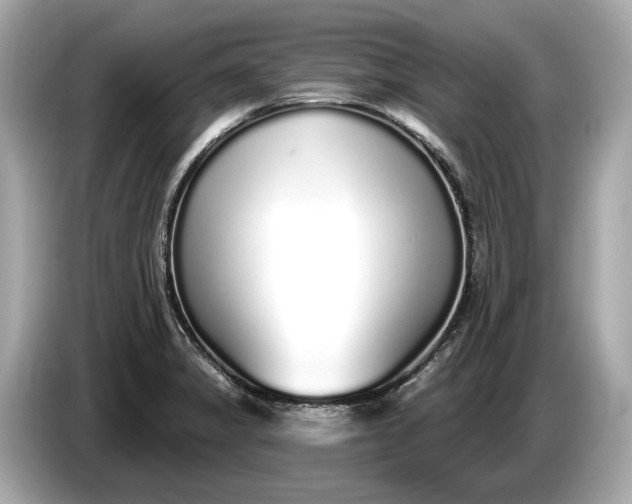 X0000085081325200703191315