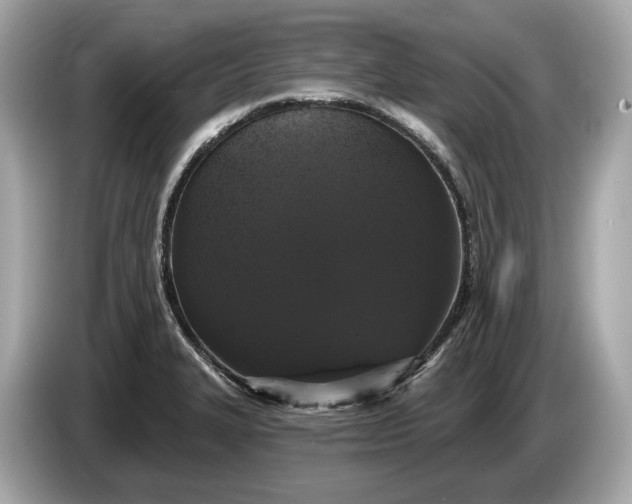 X0000085081327200703191315