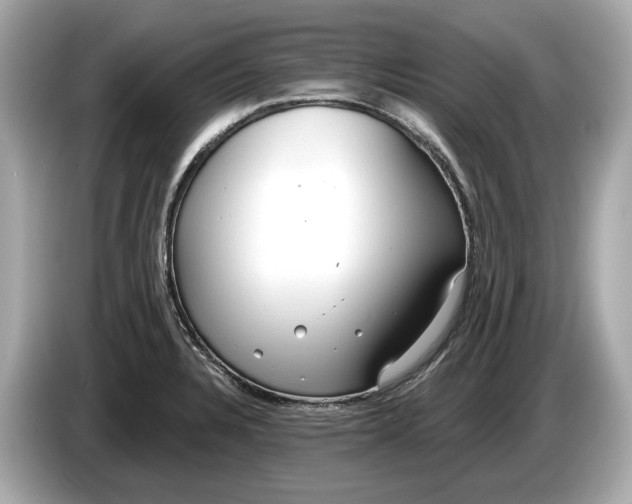 X0000085081328200703191315