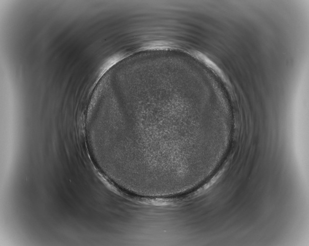 X0000085081329200703191315