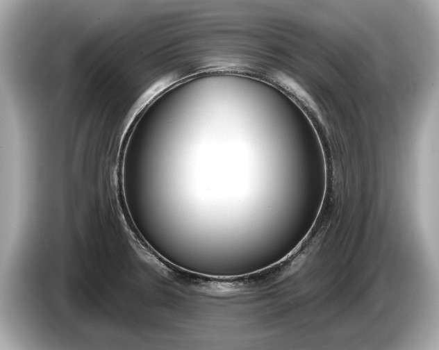 X0000085081330200703191315