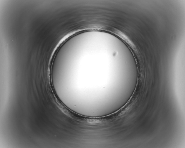 X0000085081332200703191315