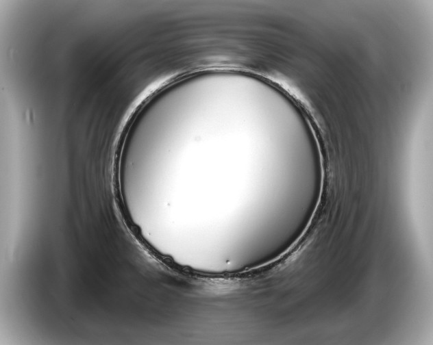 X0000085081333200703191315