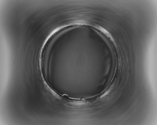 X0000085081334200703191315