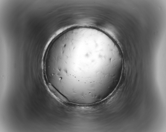 X0000085081335200703191315