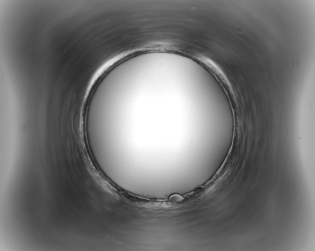 X0000085081336200703191315