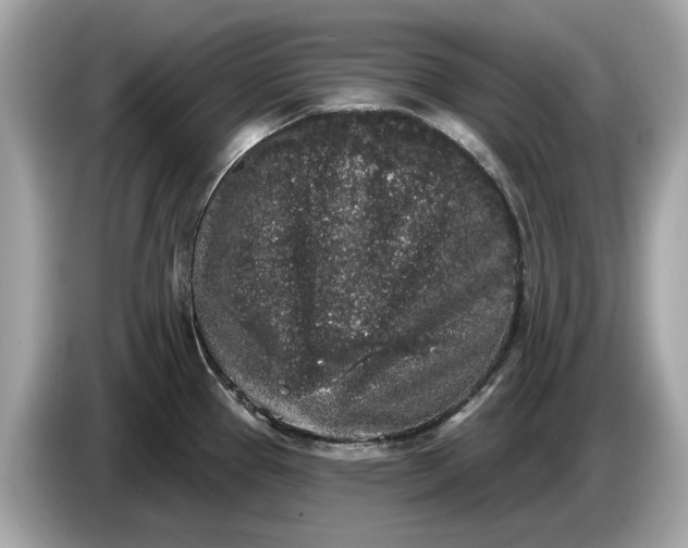 X0000085081337200703191315