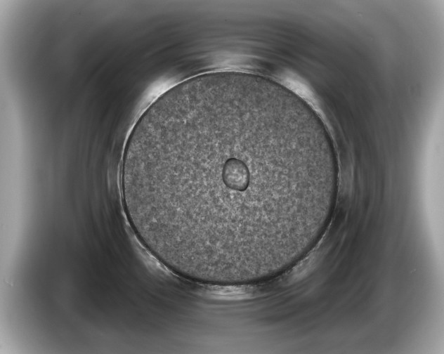 X0000085081338200703191315