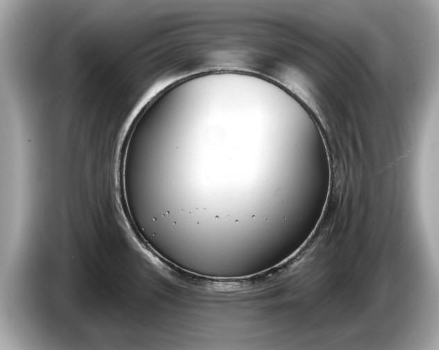 X0000085081339200703191315